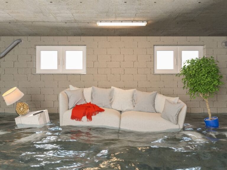 packing-and-restoration-after-flood