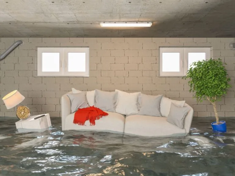 packing-and-restoration-after-flood